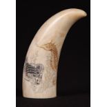 20th c Scrimshaw Whale Tooth Circa 1960's with polychrome sea creatures, Signed. 5"lFrom a