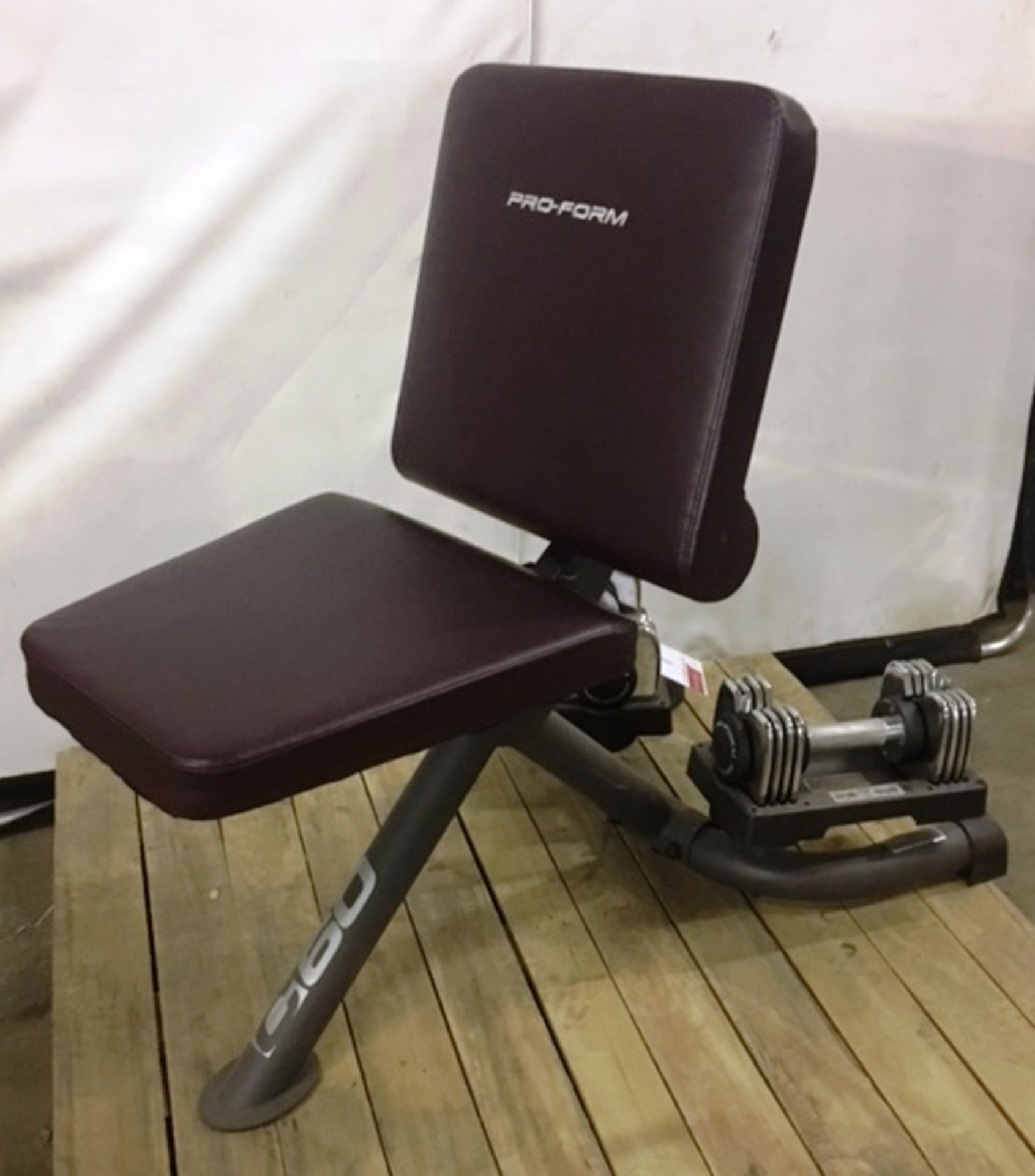 Pro-Form Bench Seat w/ Adjustable Weight Dumbbells - Bild 2 aus 4