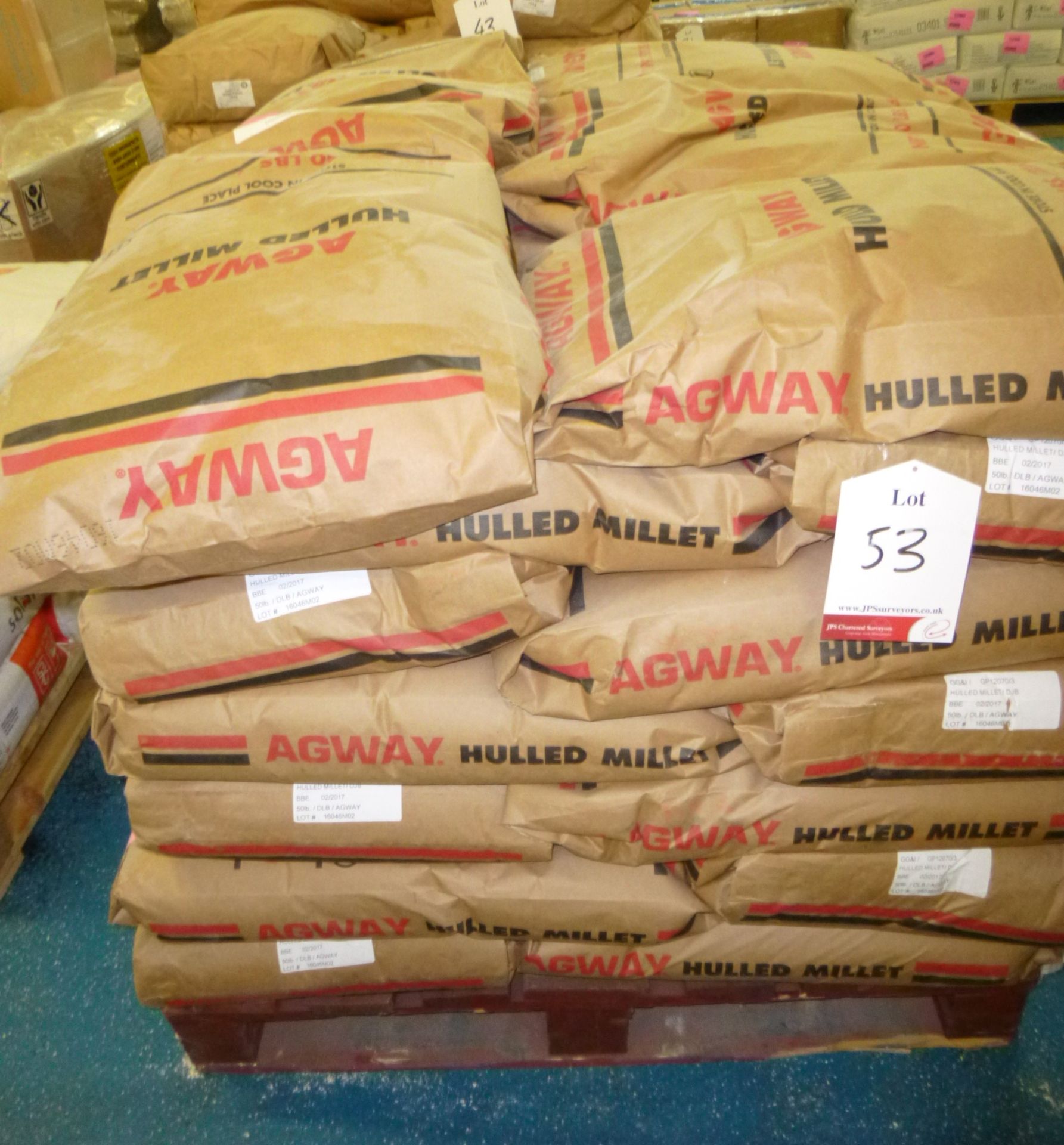 35 x 22.68kg Millet Seeds - CLICK FOR MORE INFO