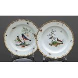 2 Teller und 2 SchalenMeissen, 1774-1817 und 1740-1780. - Unterschiedliche Vögel mit Insekten -