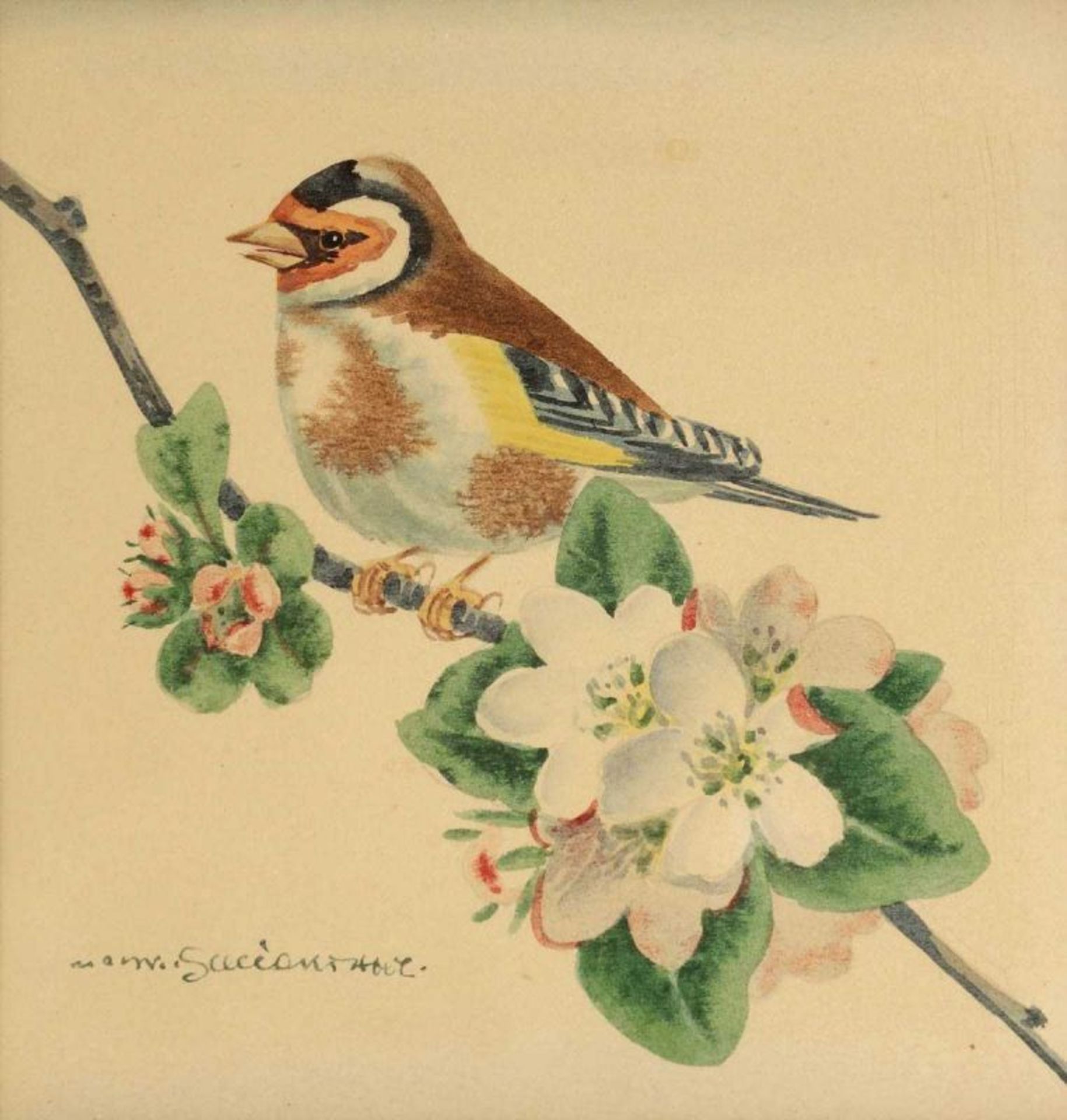 Karl Schicktanz Dresdener Künstler um 1900 - Vogeldarstellungen - Vier Aquarelle/Papier. Bis zu 17,5 - Bild 2 aus 4
