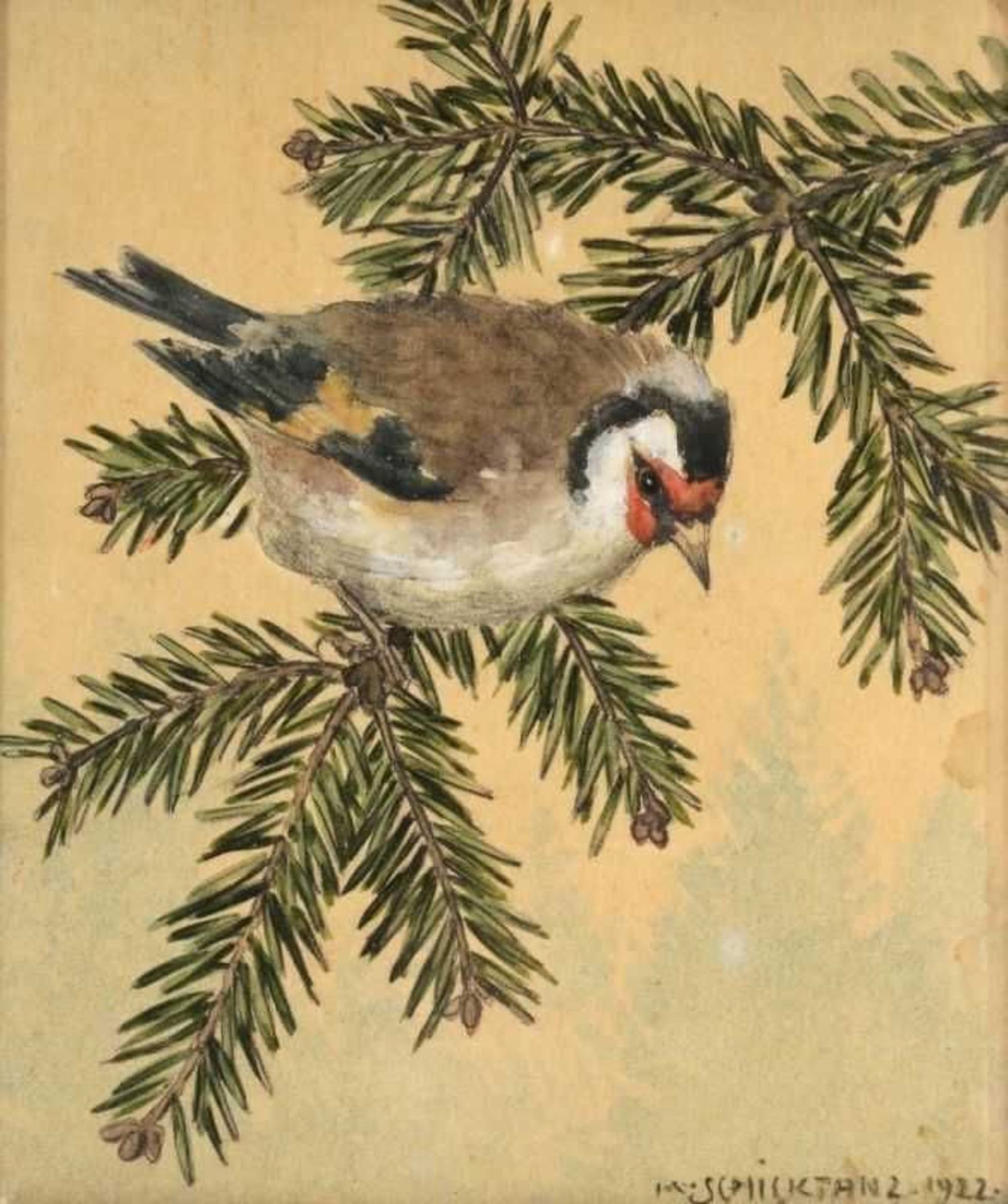 Karl Schicktanz Dresdener Künstler um 1900 - Vogeldarstellungen - Vier Aquarelle/Papier. Bis zu 17,5 - Bild 3 aus 4