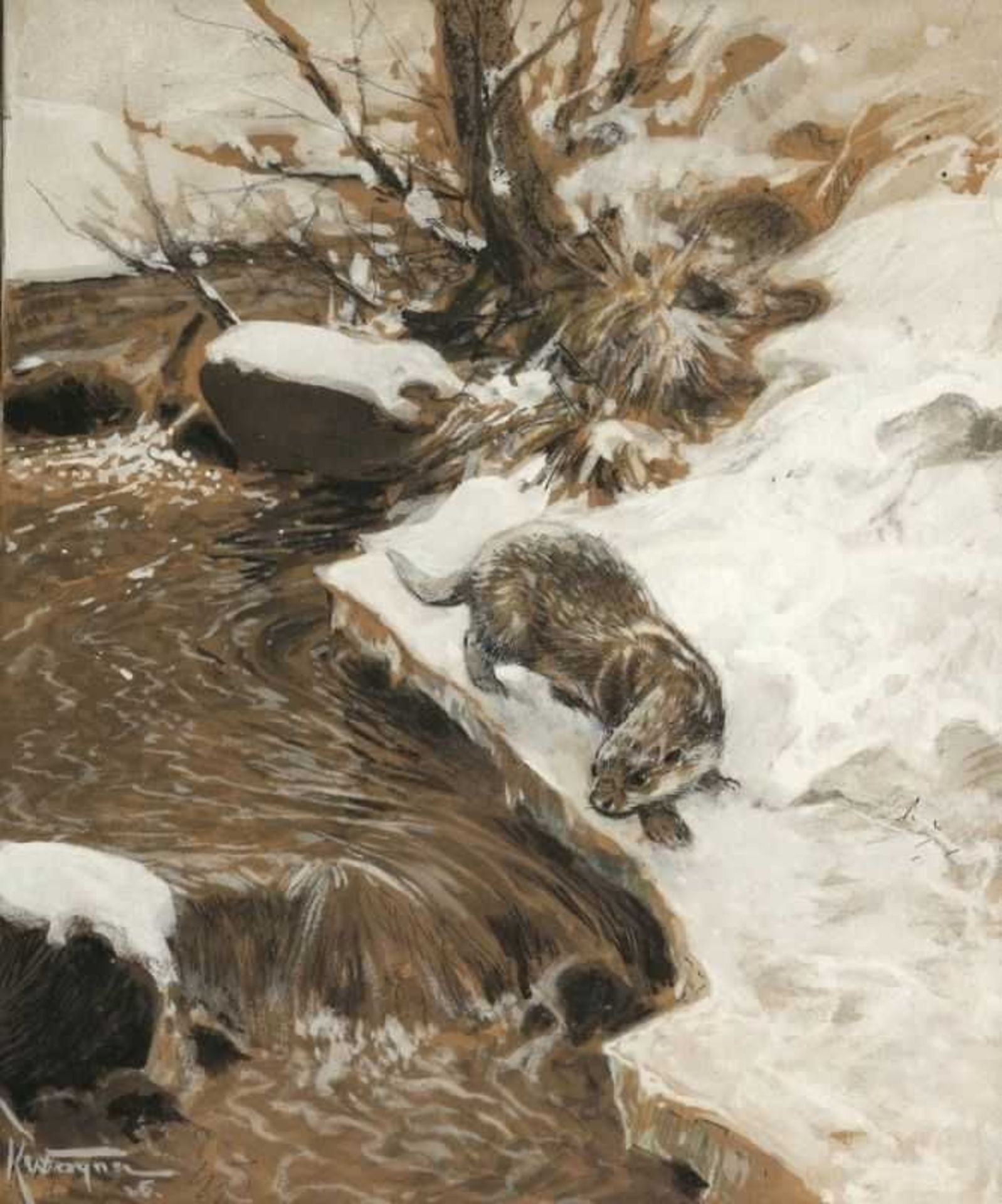 Karl Wagner 1864 - Otter am Bach - Aquarell/Papier. 23,5 x 20 cm (Passepartoutausschnitt). Sign. und