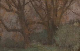 Johann Walter-Kurau 1869 Mittau/Kurland - 1932 Berlin - Bäume - Öl/Lwd. 19 x 29,5 cm. Rückseitig mit