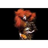 Björk's Iris van Herpen couture leather dress worn on the cover of 'Biophilia' and also for the