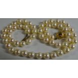 BOXED LARGE NEWQUAY PEARL NECKLACE