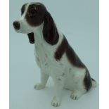 BESWICK LIVER/WHITE GLOSS SEATED COCKER SPANIEL