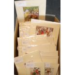 BOX OF MOUNTED PRINTS