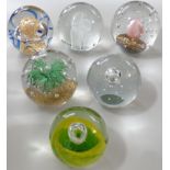 6 GLASS PAPERWEIGHTS