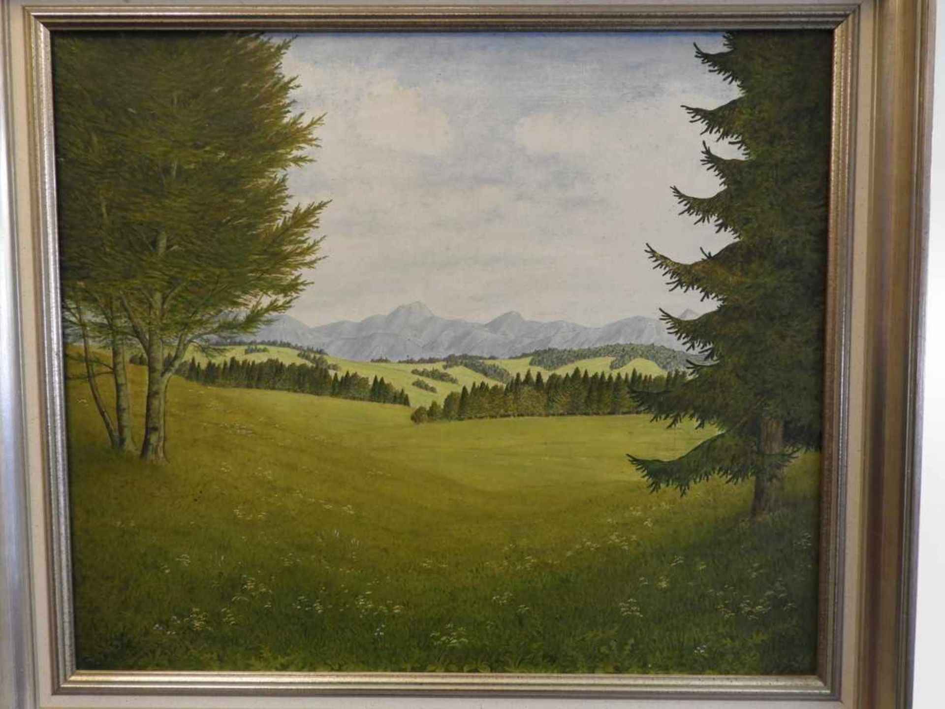 Sommerliche Berglandschaft Öl/ Leinwand, doubliert, gerahmt. Signiert "H. Haider" wohl Hubert Haider - Bild 2 aus 2