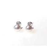 Paar Ohrclips mit Perlen und Brillanten 750er WG. Steck-Clip-Brisur. Mit einer Zuchtperle und je