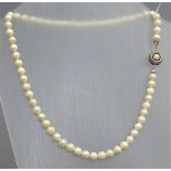 Kette Perlen, Silberschloß, l 40 cm,