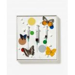 Damien HirstHappy Assemblage aus Spritzen, Schmetterlingen, Tabletten, Kunstharz und Lack auf