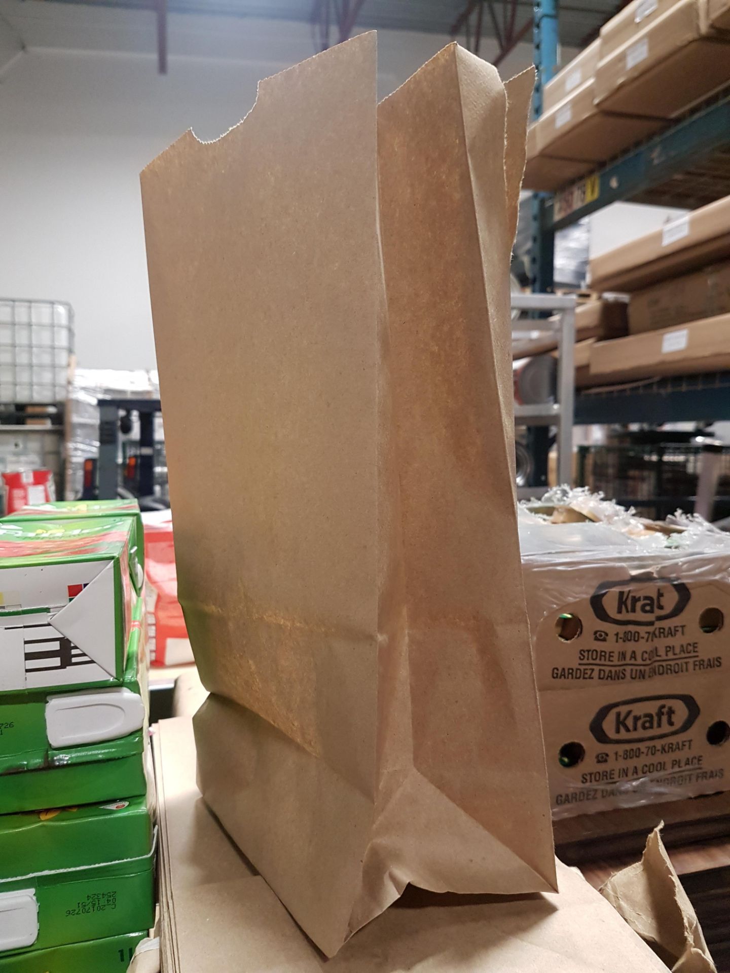 Brown Paper Bags - 1 Bundle