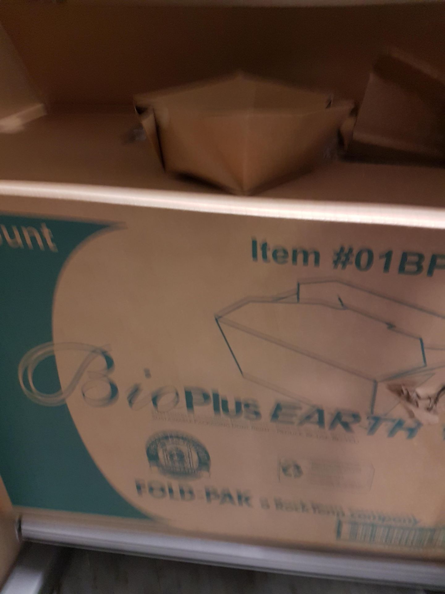 Bioplus Earth Fold Pak Take-Out Boxes - Case of 450