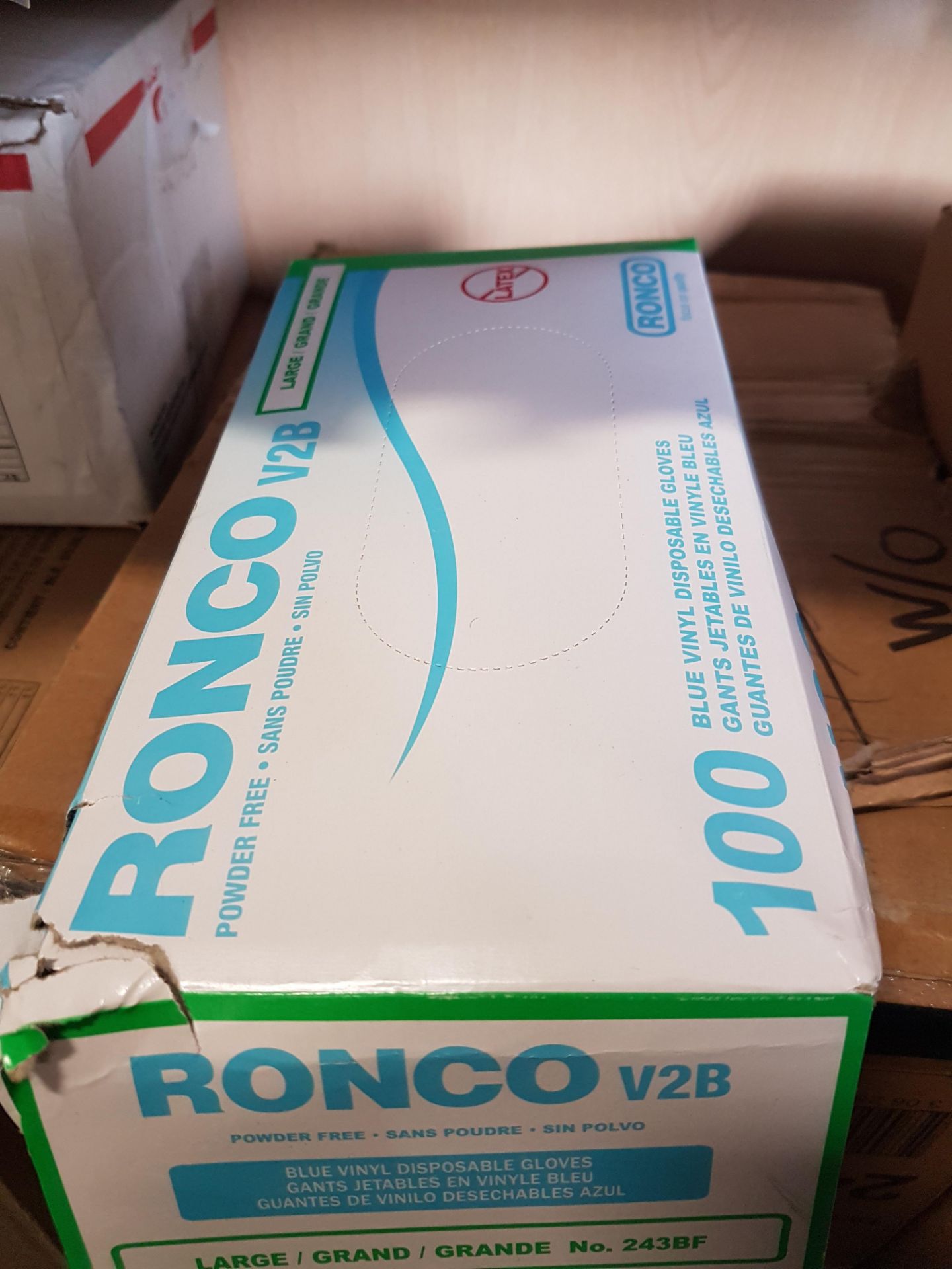 Ronco Blue Vinyl Disposable Gloves - 10 x 100 - Case Approx