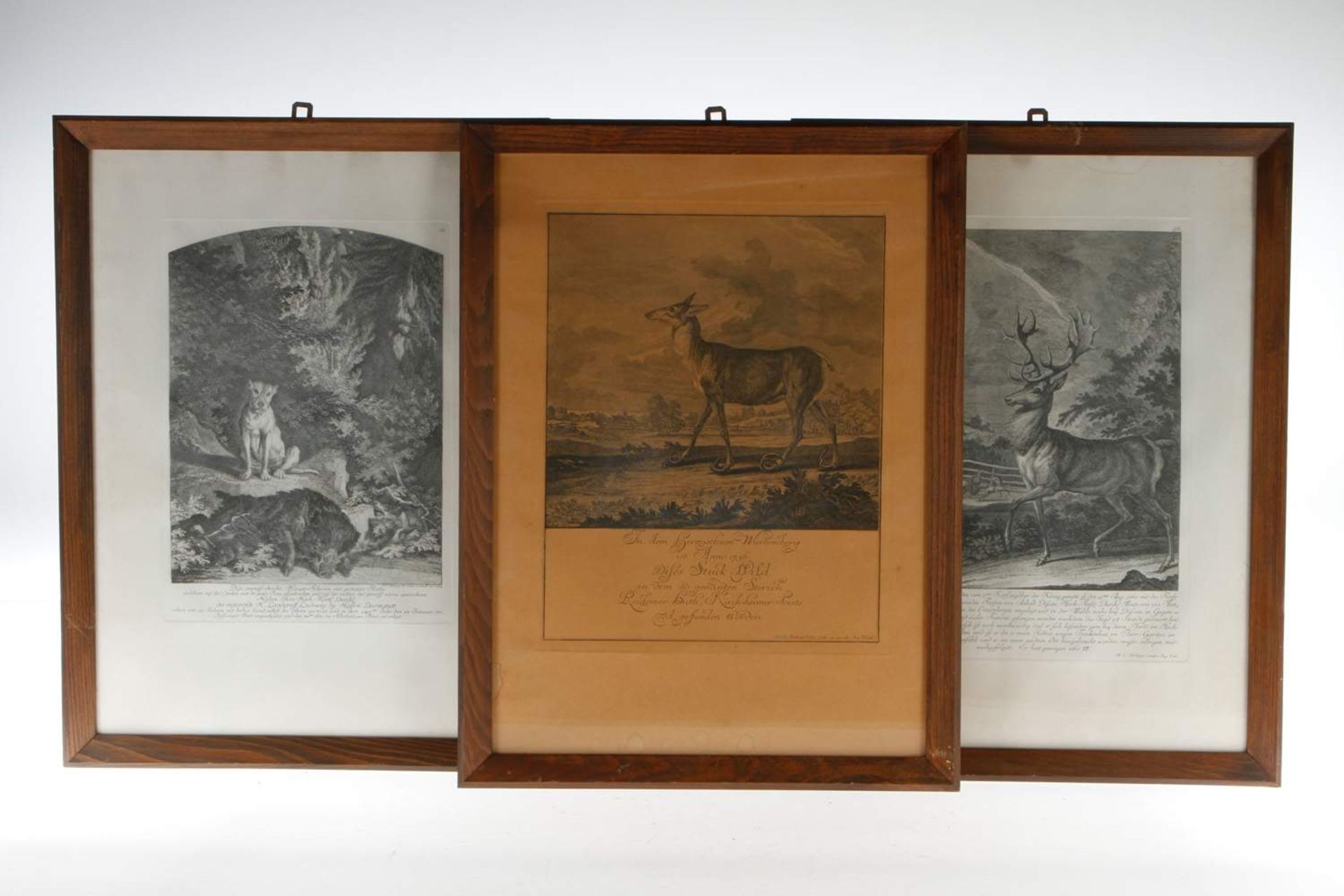 3 Ridinger Jagd Stiche, 18. Jahrhundert, unter Glas, im Holzrahmen, leichte Alterungsspuren, 42x55