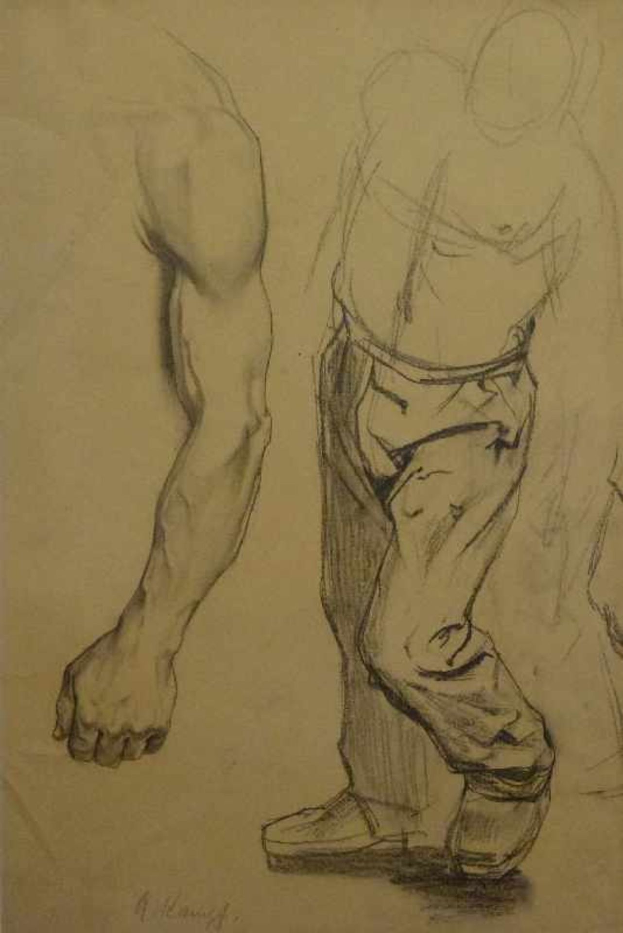 Studien, Arthur Kampf (1864-1950) Bleistiftzeichnung, sign., minutiös gezeichneter Arm;nach links