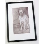 Peter Blake signed limited edition print of Hogarth's dog, entitled 'Trump', limited edition no.