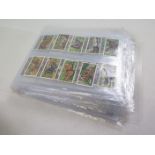 Cigarette card sets (not checked) in sleeves inc Players, Gallaher, Churchman, Wills, cat £550.50 (