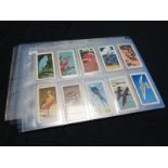 Brooke Bond, 3 complete sets in pages, Birds of North America & Tropical Birds (both U.S.A. issue) &