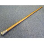 Coldstream Guards Presentation Walking Out Malacca Cane with silver hallmarked top. Inscribed