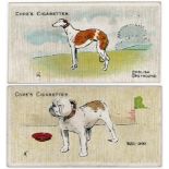 Cope Bros, Dogs of the World (English) complete set of 50 cards G - VG, cat value £650 (originally