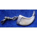 Jewellery, silver mounted tiger's claw with pendant attachment (gd) (1)