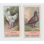 Trade cards, Fry's, a collection of 30 odds, Fowls, Pigeons & Dogs (10), Birds & Their Eggs (4),