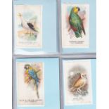 Tobacco silks, L. Youdell Collection, Phillip's, Birds, 'M' size (set, 100 silks) (some with foxing,