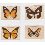Tobacco silks, Will's, Australia, Australian Butterflies, 'M' size (set, 50 silks) (gd)