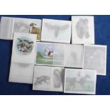 Cigarette cards, 8 'L' size sets, Player's, Cats, Types of Horses, Wild Animals, Zoo Babies, &