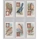 Trade cards, Fry's, Birds & their Eggs, (set, 24 cards) (1 fair, rest gd)