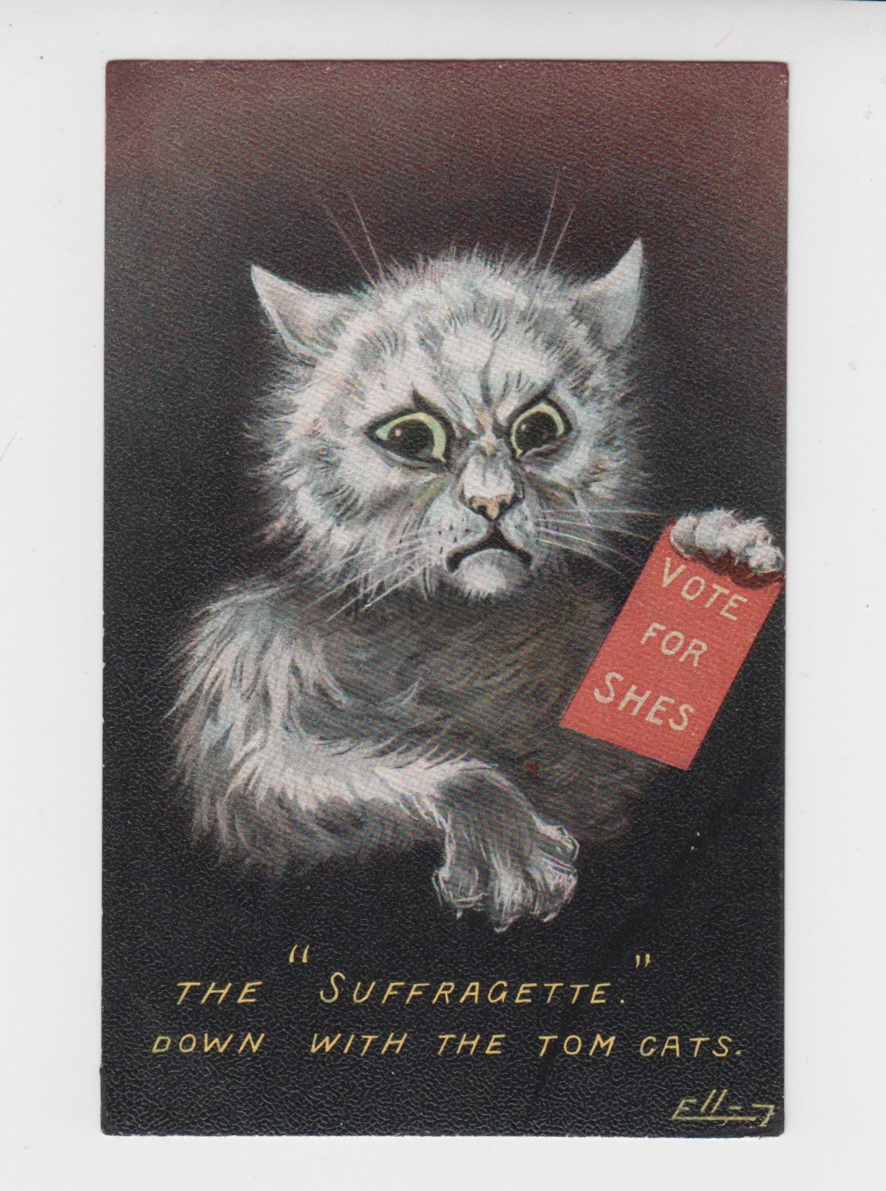 Postcard, a scarce suffragette comic card by the artist Ellam, 'Votes for Shes The Suffragette, down