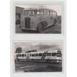Photo's, Transport, a collection of approx 100 postcard size photo's of post WW2 buses, single and