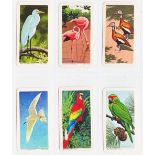 Trade cards, Brooke Bond (all USA issues), Tropical Birds (28/48), Canadian/American Songbirds (24/
