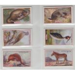 Cigarette cards, Gallaher, collection of 6 sets in modern album, Animals & Birds of Commercial