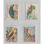 Trade cards, Sainsbury's, Foreign Birds, 'M' size, (set, 12 cards) (vg)
