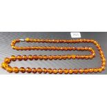 String of translucent amber faceted and graduated beads, one bead with a fly inclusion, length
