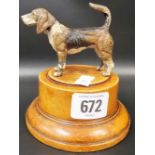 Austrian cold painted bronze model of a hunting hound