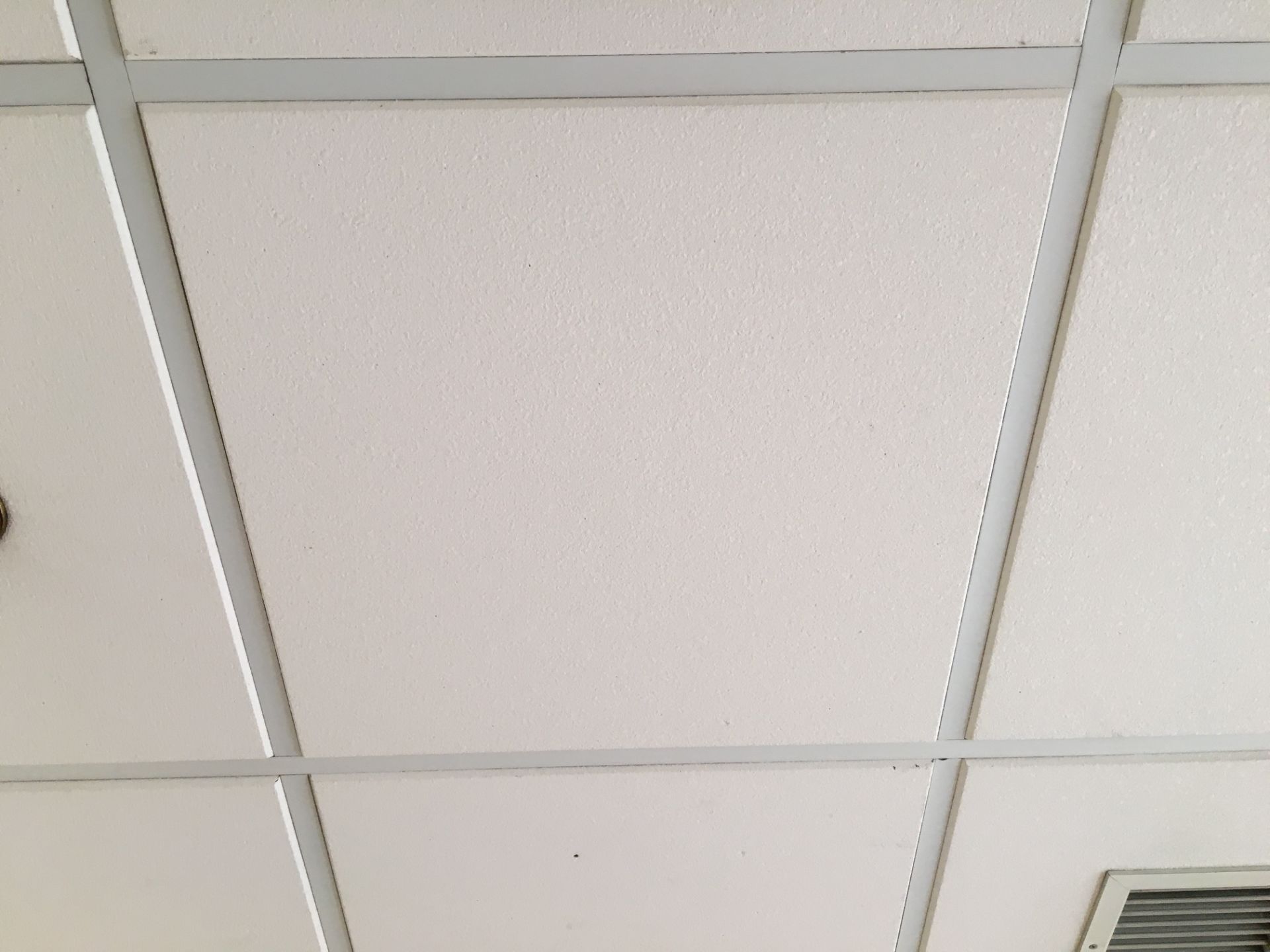 100 X White Ceiling Tiles