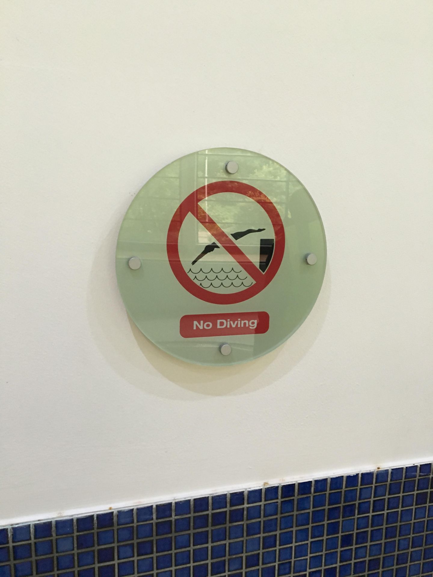 5 X No Diving Glass Signs