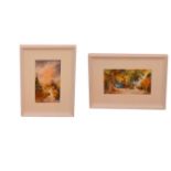 A Lot of Two Watercolours ''Hillside Abode' & 'Feeding the Chickens' - Carrie O'Duinn (12" x 7"