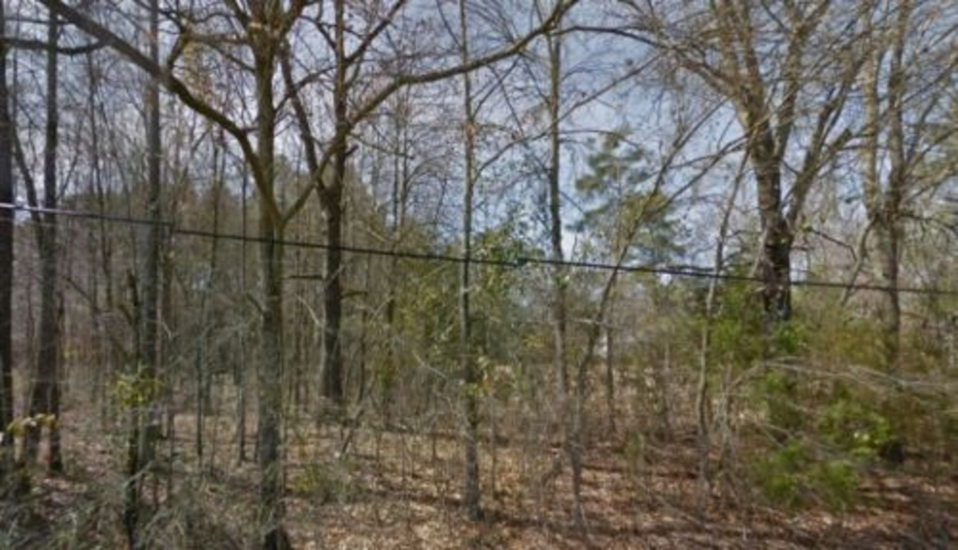 2 LOTS FOR THE PRICE OF ONE!! PINE BLUFF, ARKANSAS - Image 2 of 7