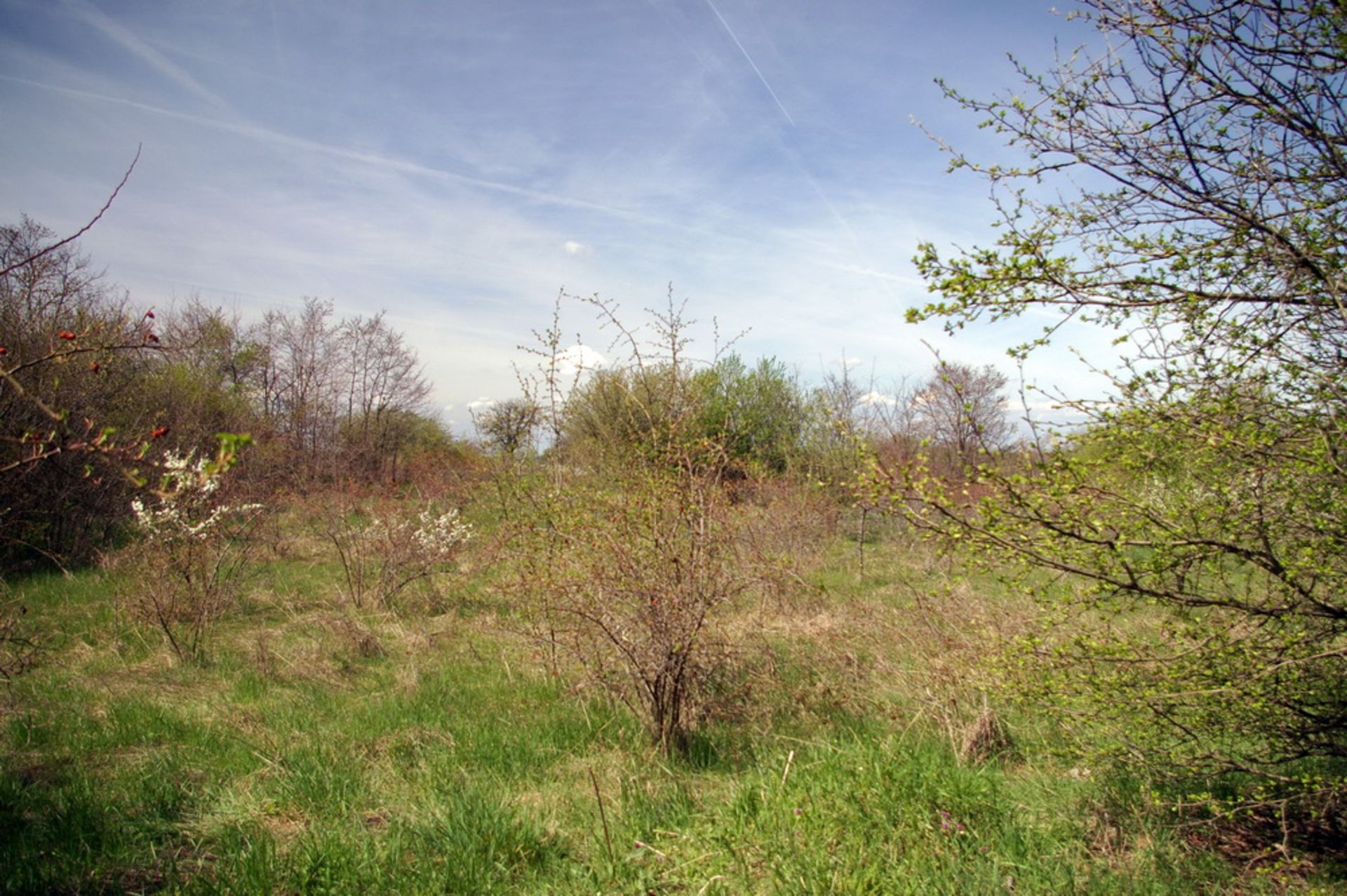 Property in Lagoshevtsi, Vidin region, Bulgaria, with 1.26 Acre land - Image 5 of 17