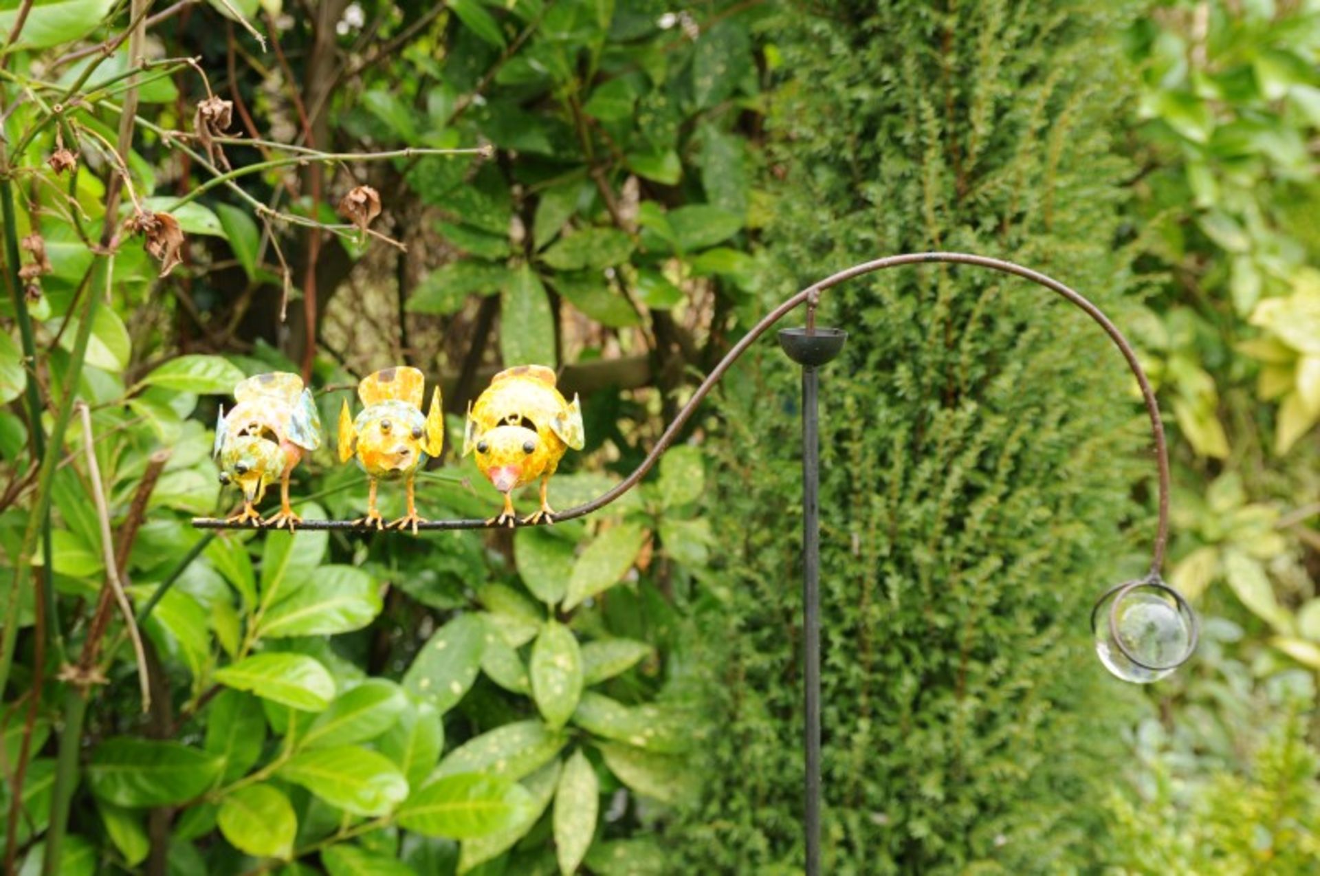 BALANCING CHICKS