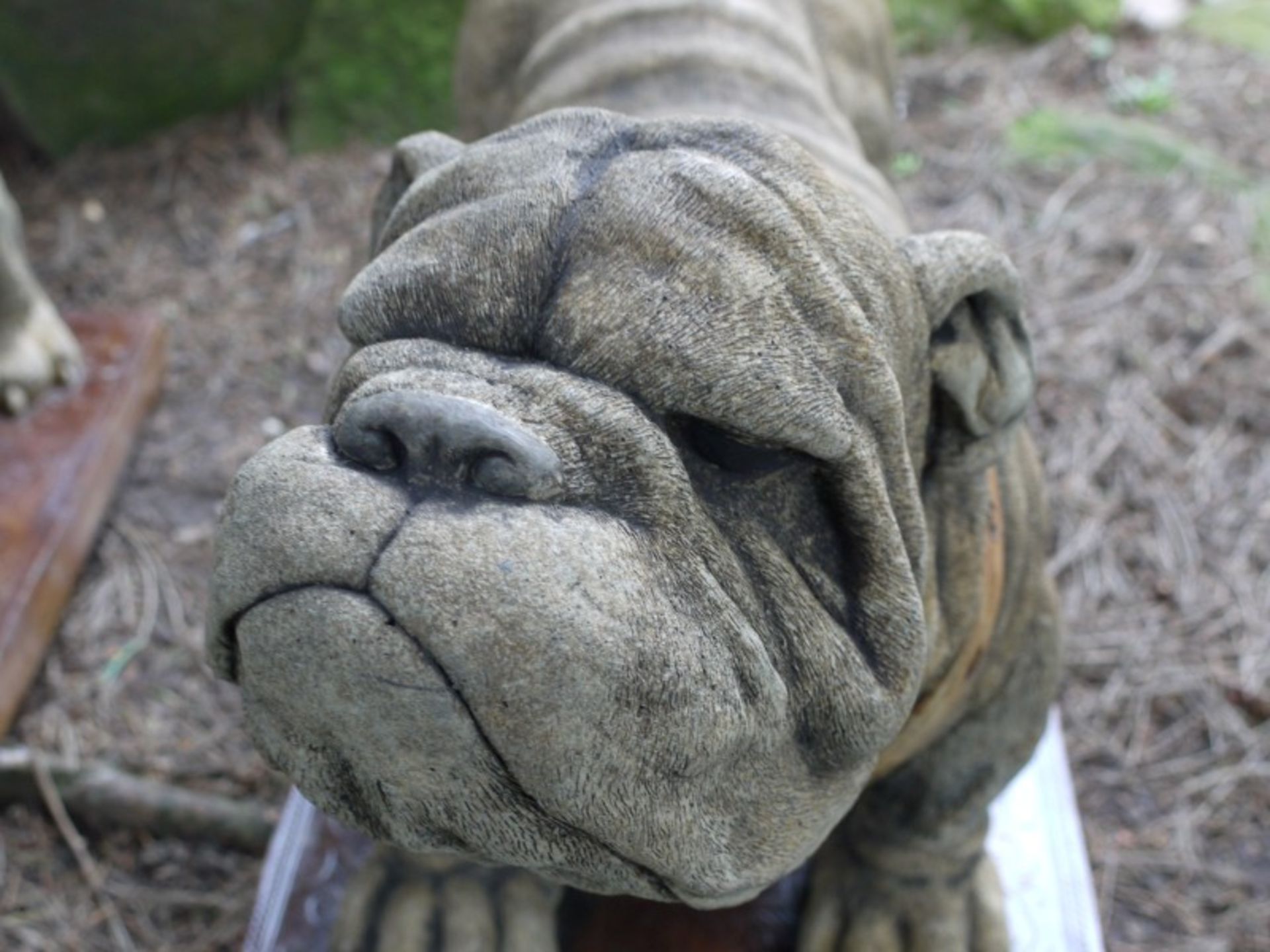 PAIR OF BULLDOGS - Image 5 of 7