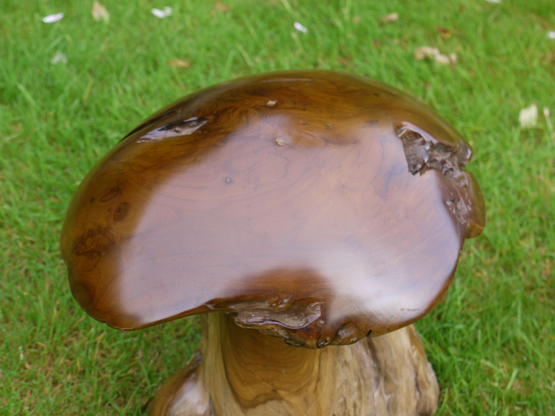 WOOD MUSHROOM - Image 2 of 3