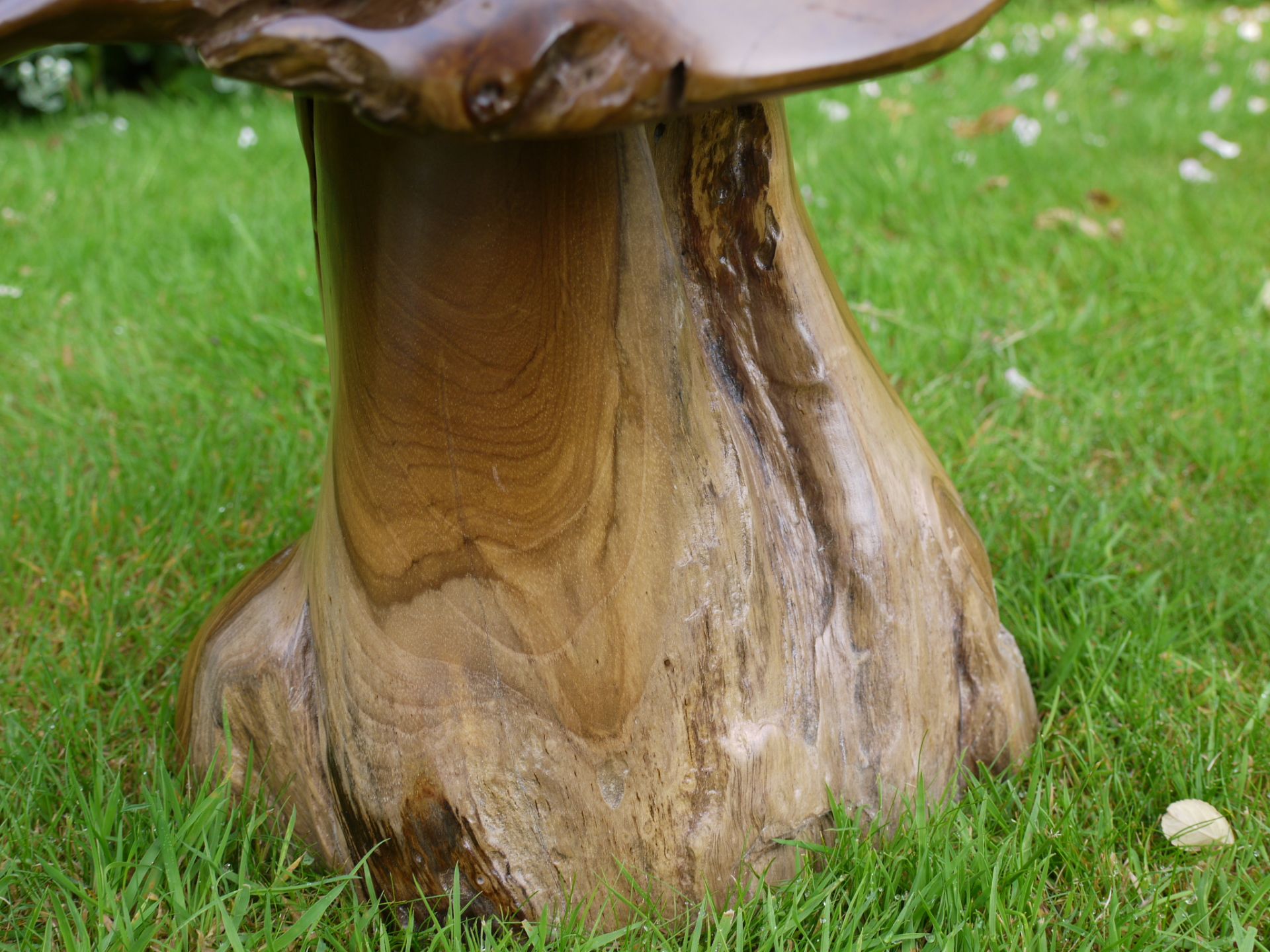 WOOD MUSHROOM - Image 3 of 3