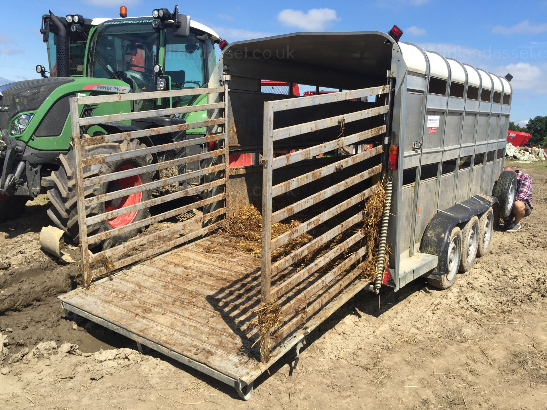 2013 IFOR WILLIAMS TRI AXLE CATTLE TRAILER - Image 10 of 14